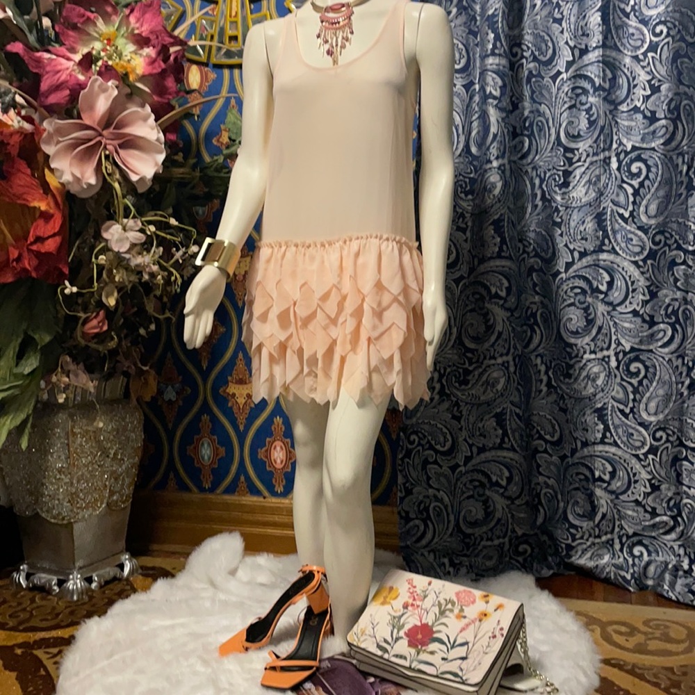 Aerie Peach Sheer runway dress